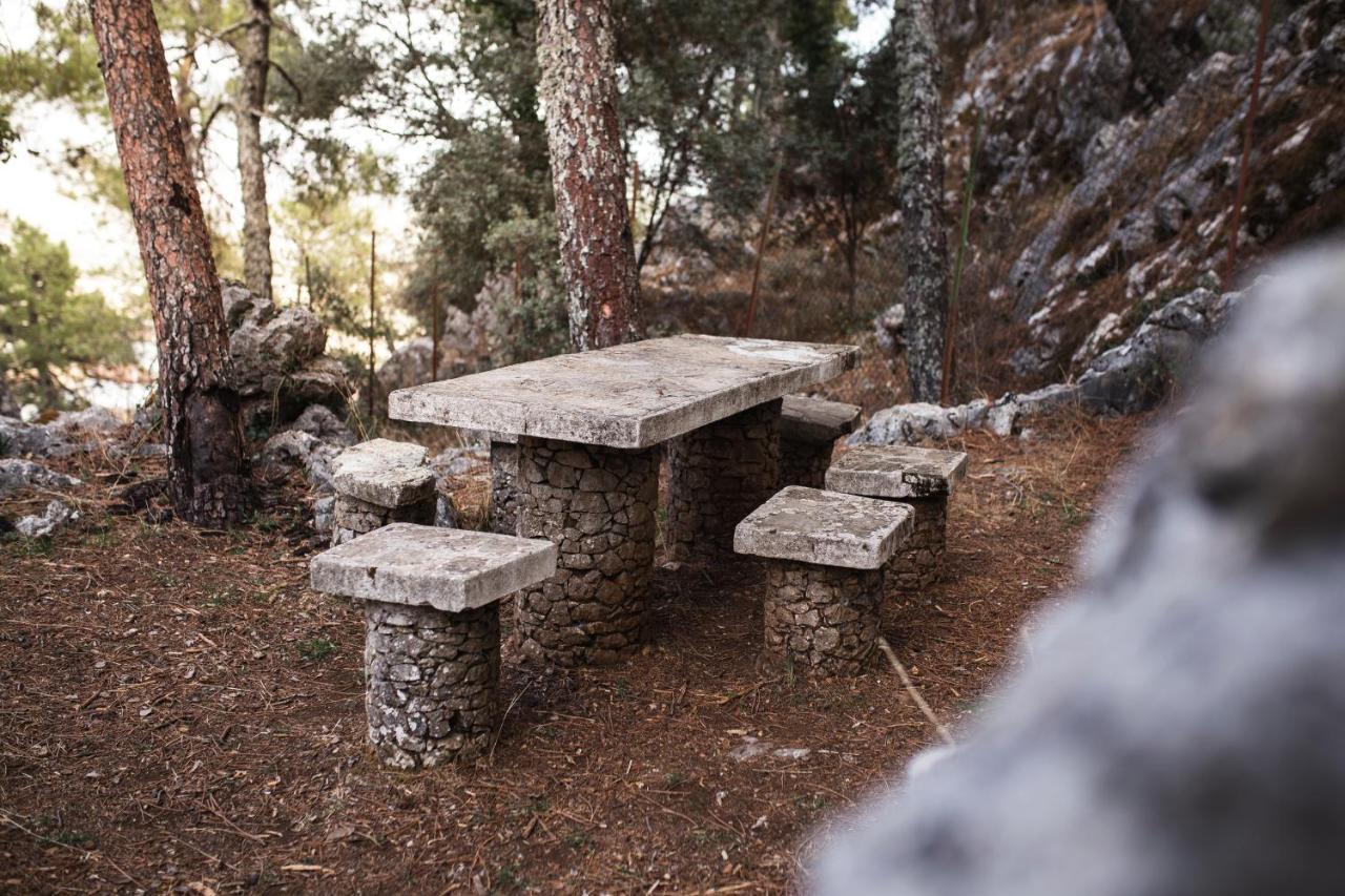 Camping Tajorodillo Grazalema Extérieur photo