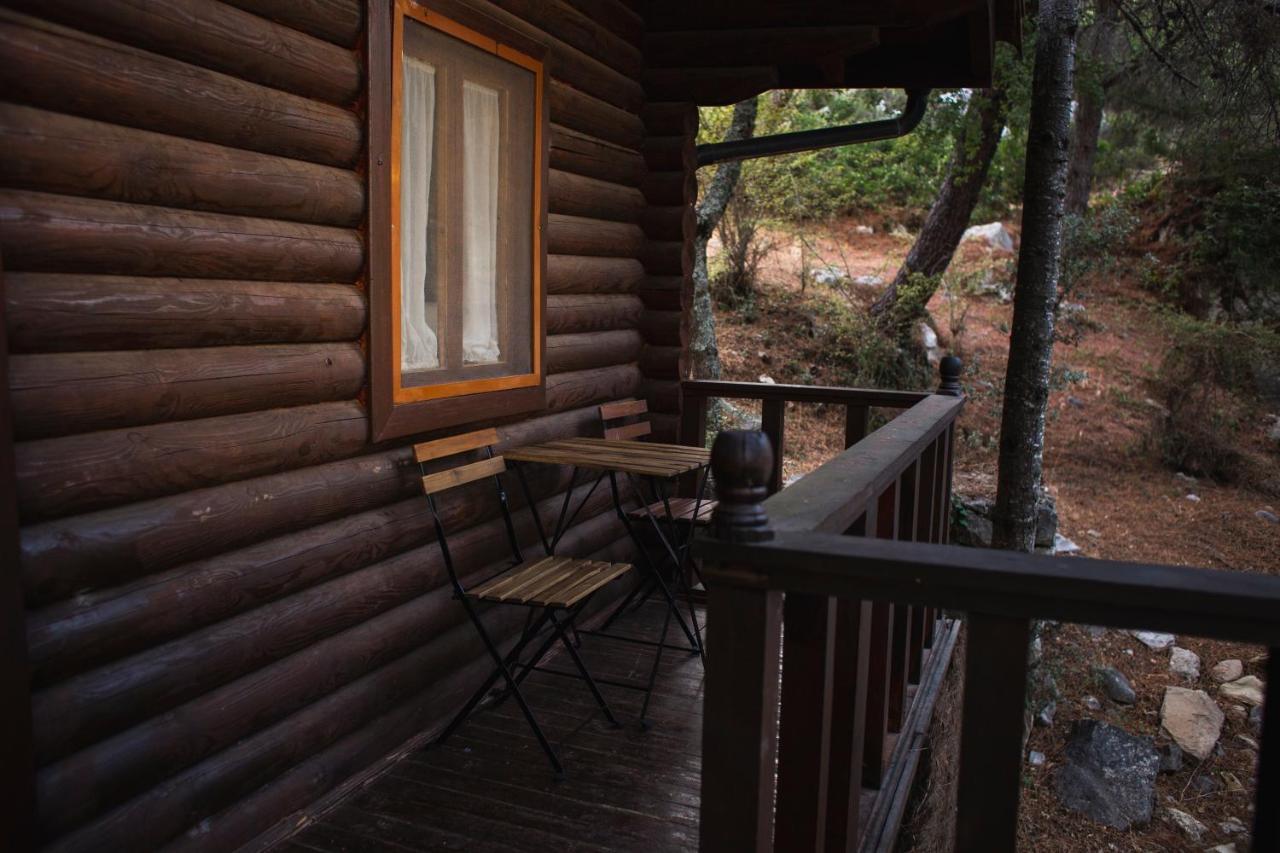 Camping Tajorodillo Grazalema Extérieur photo