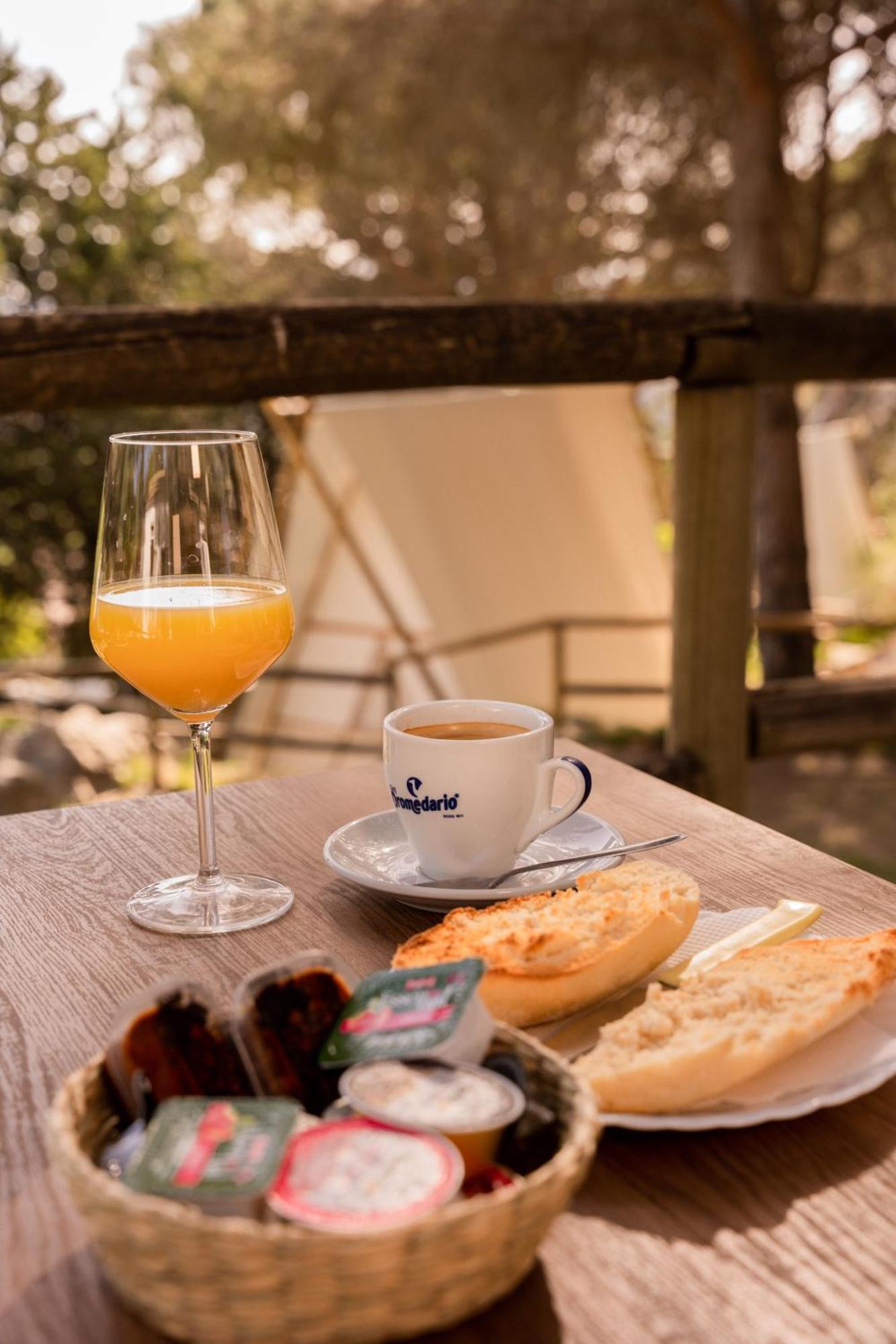 Camping Tajorodillo Grazalema Extérieur photo